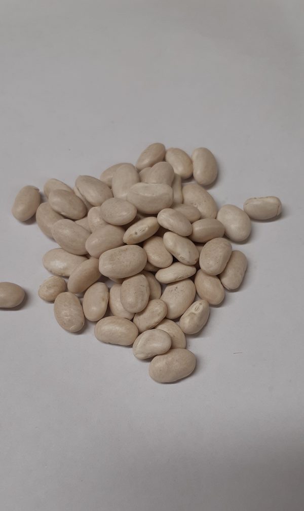 BEANS HARICOT (GREAT NORTHERN) 25KG BAG Northern Foods